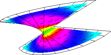 (x,y,z) -> (x^2 + y^2)^0.2 auf dem Whitneyschen Regenschirm
