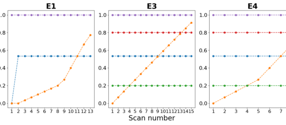 Phantom concentrations